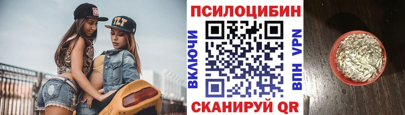 хочу наркоту  Урус-Мартан  omg зеркало  Псилоцибиновые грибы мицелий 