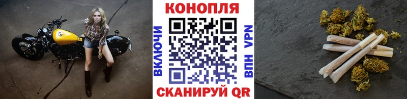 МАРИХУАНА план  наркотики  Урус-Мартан 